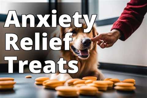 Top 10 Best Calming Treats for High Anxiety Dogs: Expert Recommendations