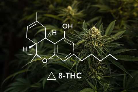 Why Does THC-8 Alleviate Stress?