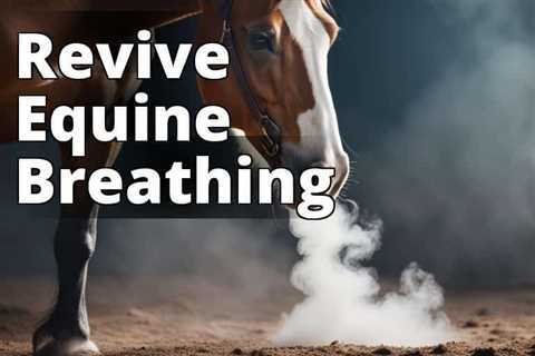 Revitalize Your Horse’s Lungs with CBD Oil for Respiratory Health