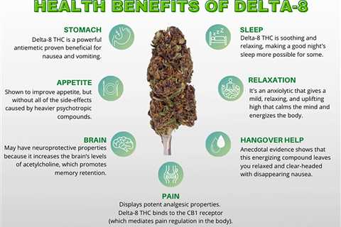 Six Health Benefits Of THC-8 In Homeostasis