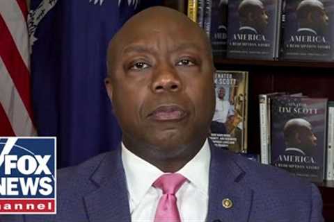 Tim Scott responds to the liberal media''s attacks on him: ''Vile and disgusting''