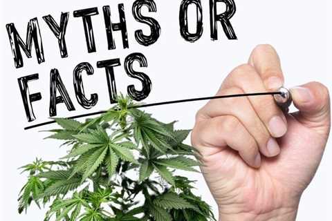 Marijuana Myth Busters - The Top 5 Reefer Madness Myths about Cannabis We Now Know are 100% False