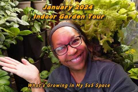 Indoor Garden Tour - It''s only a 5x5 grow space