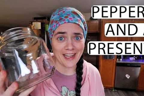 Starting Pepper Seeds and A Gift From My Sister! VLOG | Fermented Homestead