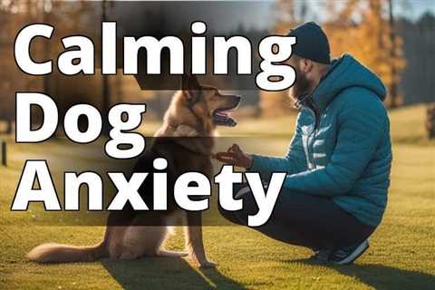 Best Medicine to Calm Anxious Dogs: Techniques that Work