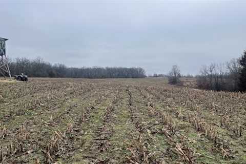 Beautiful 145-acre North Missouri farm for sale, 45 minutes from our farm!