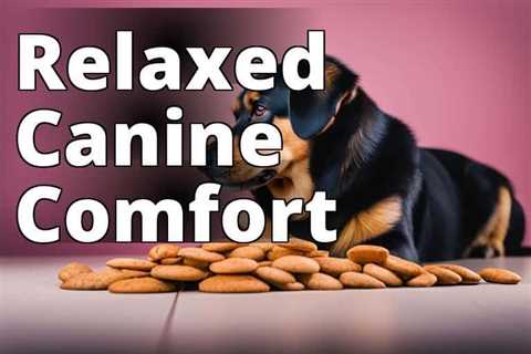 Discover the Top Picks: Best Calming Treats for Nervous Dogs