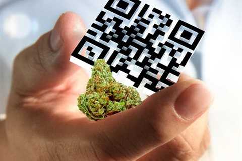 Medical Marijuana Cards in Your Apple Wallet? - New Jersey Starts Digital MMJ Cards with No Renewal ..