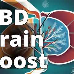 The Neuroprotective Impact of CBD on Brain Healing
