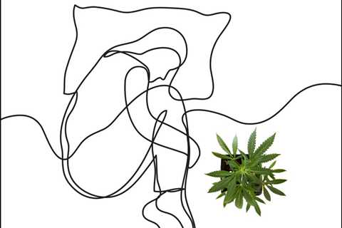 Does Weed Cause Depression or Help Treat It? - The Latest Medical Studies on Cannabis and..