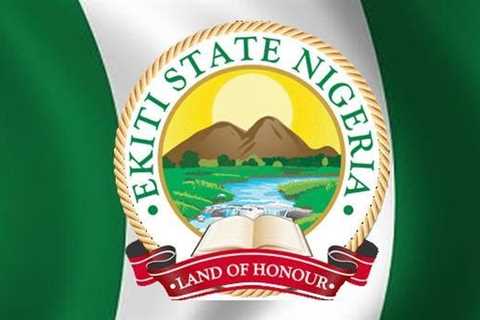 Ekiti destroys 20 hectares of marijuana farm - Daily Trust…