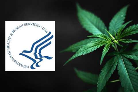 HHS Recommends Marijuana Be Moved to Schedule III in a Historic Move