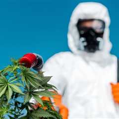 Just Say No to Pesticides on Your Weed - How to Grow Bug-Free Cannabis Plants without Using..