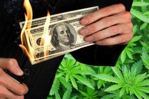 $9 Billion in Revenue and $2 Billion in Losses - Why the Marijuana Industry May Never Be Profitable ..