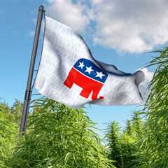 Why Marijuana Legalization is a Republican Issue - Legalizing Cannabis is Consistent with..