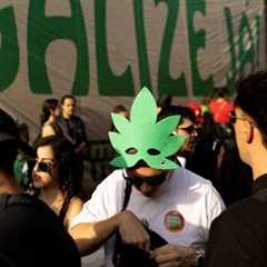 Brazil top court majority says marijuana possession not a crime