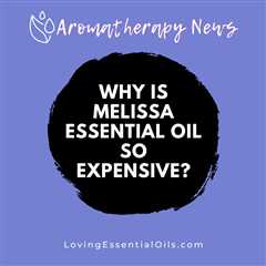 Why Is Melissa Essential Oil So Expensive?