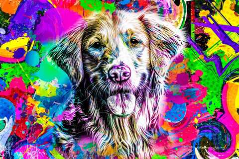 Can You Give Your Dog Magic Mushrooms? - Benefits of Psychedelics for Dogs