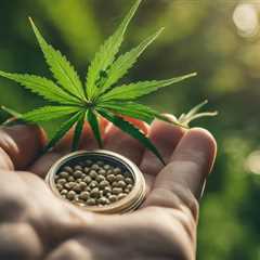 Why Choose Fast USA Cannabis Seeds Delivery?