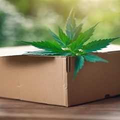 Anonymous Shipping for Marijuana Seeds in USA
