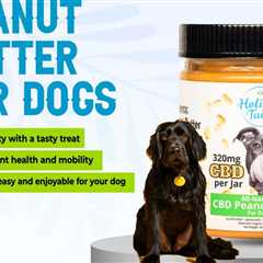 Our CBD Peanut Butter for Dogs is a delicious way to calm your furry friend.…