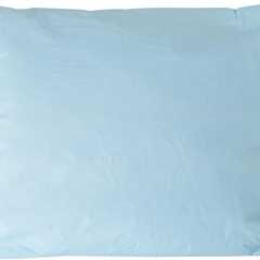 McKesson Pillow Review: The Blue Wonder