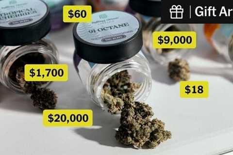 Here’s Why This Jar of Weed Costs $60 at a Legal N.Y.C. Dispensary (Gift Article)