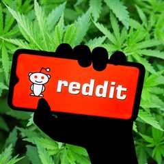 What the New Reddit-Based Cannabis Study Teaches Us about Cannabis and Getting High