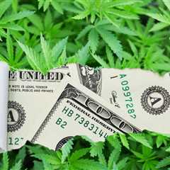 The IRS is NOT Going to Play Ball with Cannabis Companies on 280E Tax Refund Checks - Get Ready for ..