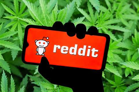 What the New Reddit-Based Cannabis Study Teaches Us about Cannabis and Getting High