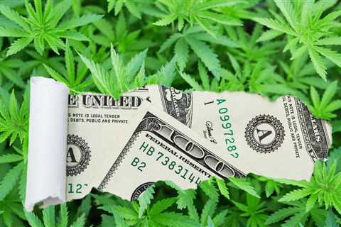 The IRS is NOT Going to Play Ball with Cannabis Companies on 280E Tax Refund Checks - Get Ready for ..