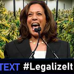 Kamala Harris: We Need to Legalize Weed and Decriminalize Smoking It