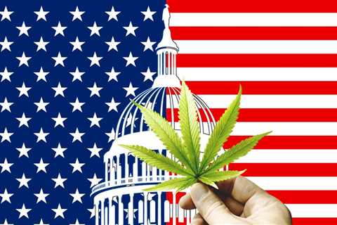 Profits over People - The US Cannabis Industry is All About Making Money and Not Public Health Says ..