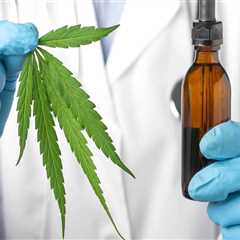 Debunking Common Misconceptions About Cannabis Therapy