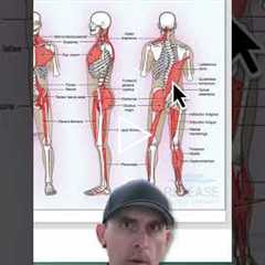Quick Tip For Recurring Quadratus Lumborum Issues!