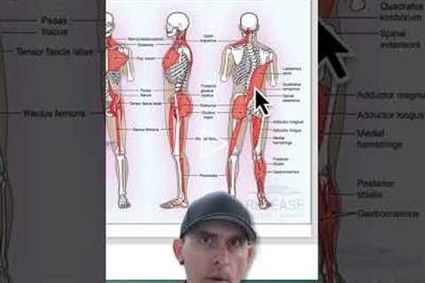 Quick Tip For Recurring Quadratus Lumborum Issues!