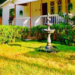 The Vegan-Friendly Scene in Alachua County, Florida