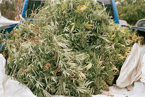 Detox Center In Portland, Maine: Building A Life Where Marijuana Dispensaries Don’t Tempt You