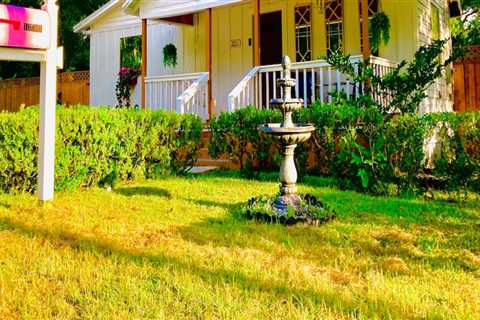 The Vegan-Friendly Scene in Alachua County, Florida