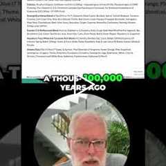 Orangutan's Diet Vs. Yours: Shocking Food Variety! #shorts