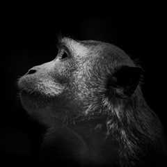 ActimedAustralia - Awwwards