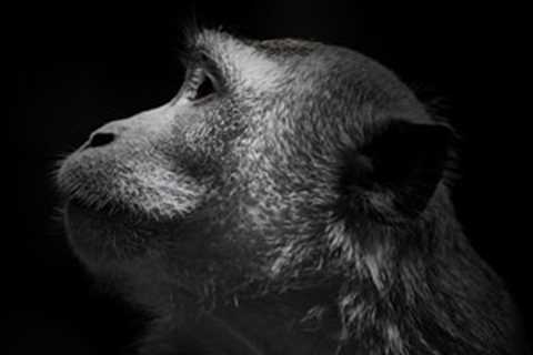 ActimedAustralia - Awwwards