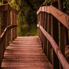 Understanding Insurance Coverage for Mental Wellness Services