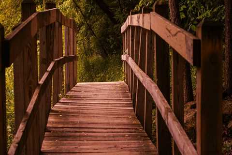 Understanding Insurance Coverage for Mental Wellness Services