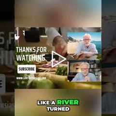 Rebuilding Vitality Brick by Brick #shorts