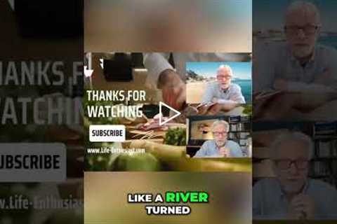 Rebuilding Vitality Brick by Brick #shorts