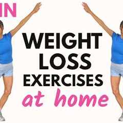 Low Impact Cardio Workout | Weight Loss Exercises at Home | Knee Friendly, No Jumping, No Equipment
